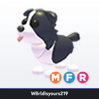 Adopt Me Mega Neon Fly Ride Border Collie (MFR) - Full Grown - Fast Trade