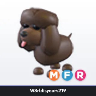 Adopt Me Mega Neon Fly Ride Irish Water Spaniel (MFR) - Full Grown - Fast Trade