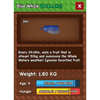 [RUSH SELL] BLUE WHALE RARE EXCLUSIVE DLC PET