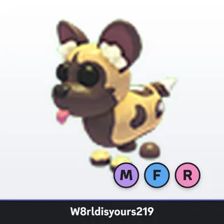 Adopt Me Mega Neon Fly Ride African Wild Dog (MFR) - Full Grown - Fast Trade