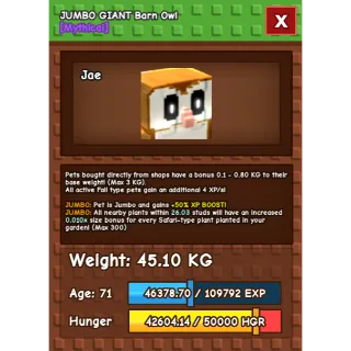 Giant barn owl grow a garden rare pet