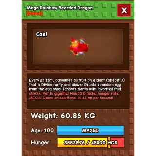 Rbh bearded dragon rare collectors pet