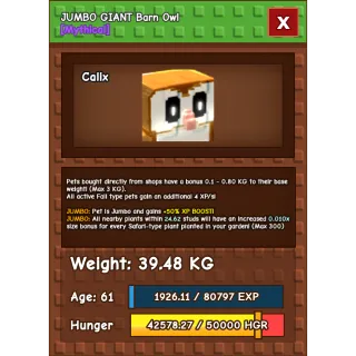 Giant barn owl grow a garden rare pet