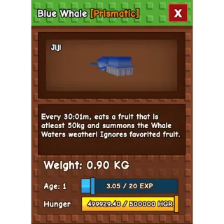 [RUSH SELL] BLUE WHALE RARE EXCLUSIVE DLC PET