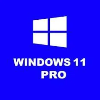 Windows 11 Pro