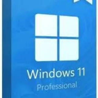 Windows 11 Pro