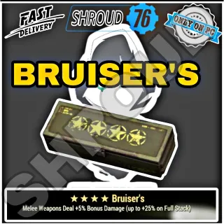 BRUISER'S MOD BOX 