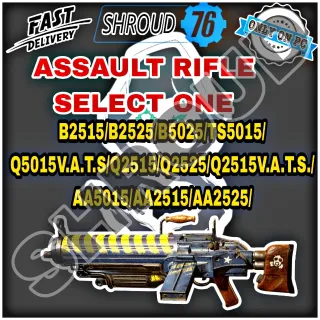 ASSAULT RIFLE 