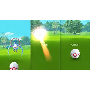 50M Xp + 12-15k Catches +1-4M dust