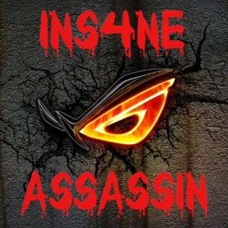 INS4NE ASSASSIN