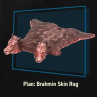 Brahmin Skin Rug