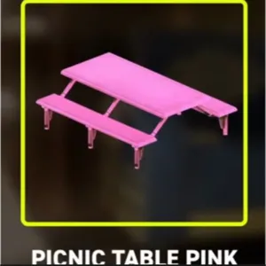 Picnic Table Pink