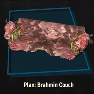 Brahmin Couch