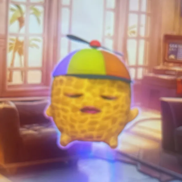 出品写真