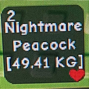 NIGHTMARE PEACOCK 49kg