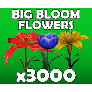 3k Big Bloom Flower Bundle