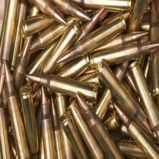 Ammo | 1 Million 5.56 Ultracite