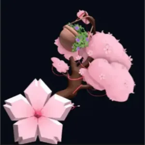 cherry blossom
