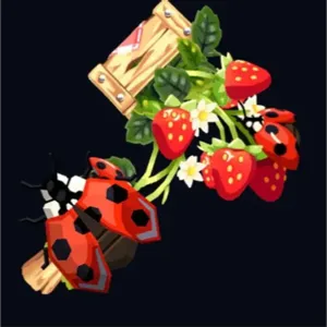 strawberry fields