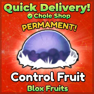  Blox Fruits Control Fruit