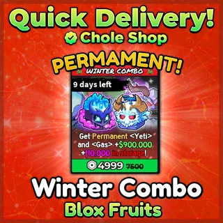  Winter Combo Blox Fruits