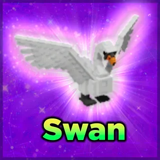 Swan
