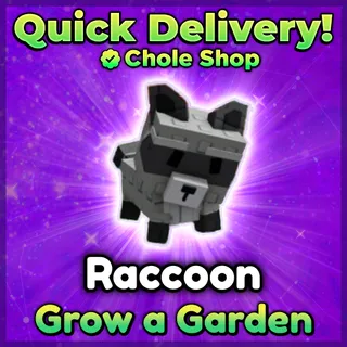 Raccoon