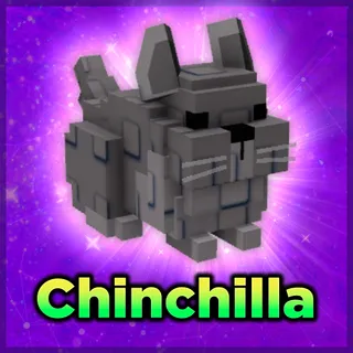 Chinchilla Grow a Garden