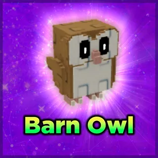 Barn Owl Grow a Garden