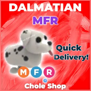 MFR Dalmatian