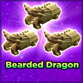 Bearded Dragon
