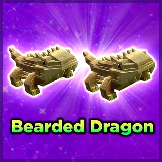 Bearded Dragon
