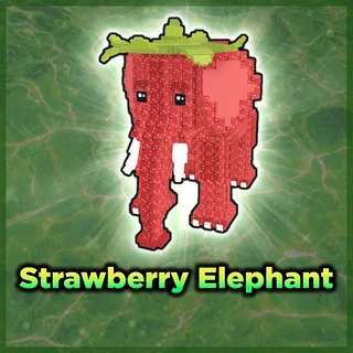 Strawberry Elephant