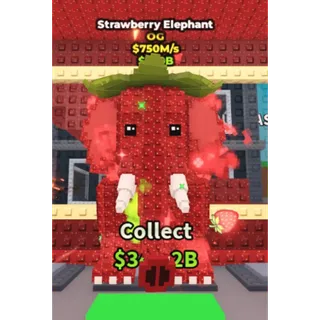 Strawberry Elephant 750M/s
