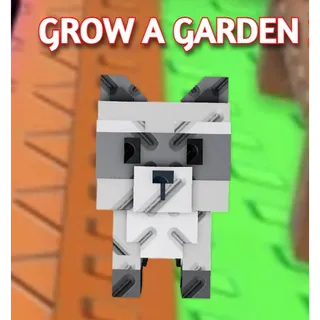Raccoon | GROW A GARDEN 2