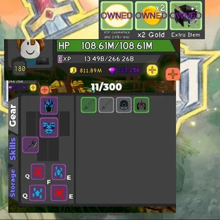 LVL 180 CLEAN ACCOUNT ALL GAMEPASSES UNLOCKED INSTANT DELIVERY Dungeon Quest Reborn ACCOUNT