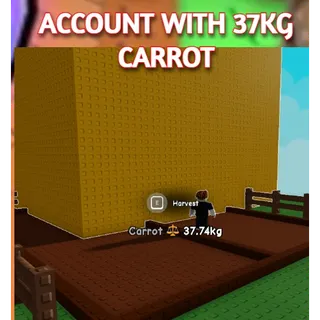 37KG CARROT ACCOUNT | GROW A GARDEN 2