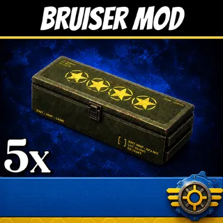 Bruiser’s Mods