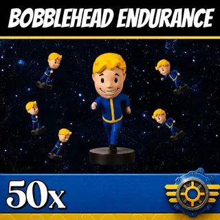 Endurance Bobblehead