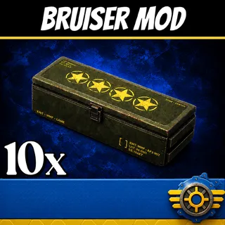Bruiser Mods