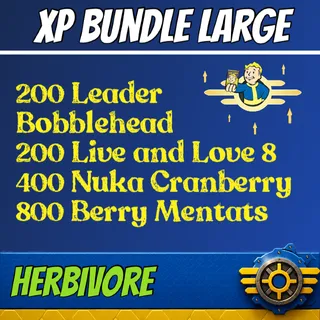 Xp Bundle Large