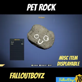 Pet Rock
