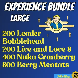 Xp Bundle Large