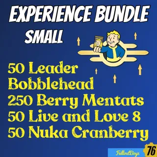 Exp Bundle Small