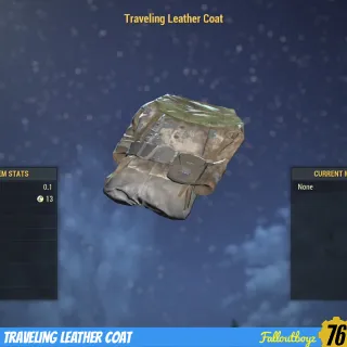 Traveling Leather Coat