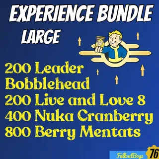 Xp Bundle Large