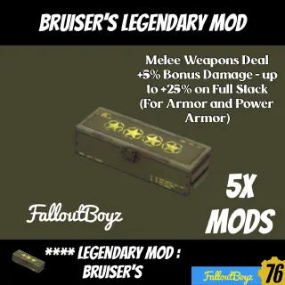 Bruiser’s Mod x5