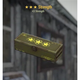 3* STRENGTH BOX MOD x5