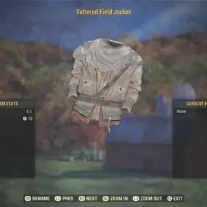 Tattered Field Jacket