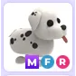 MFR DALMATIAN